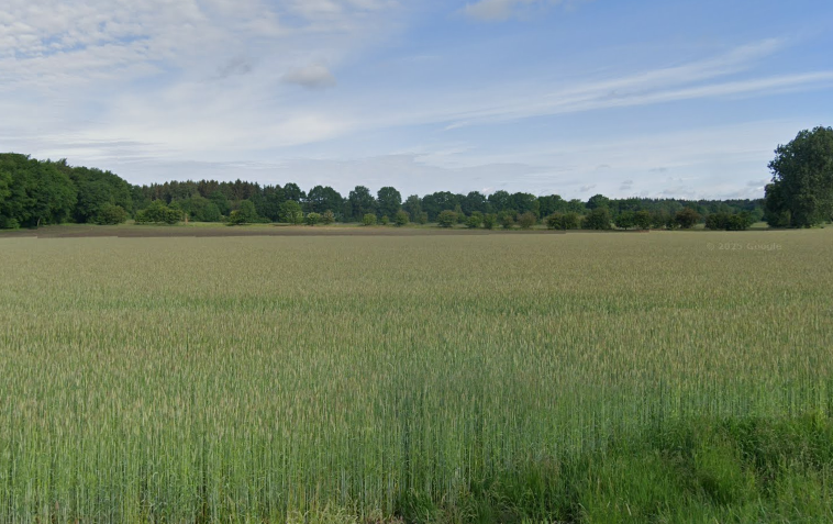 A Meadow in Issendorf