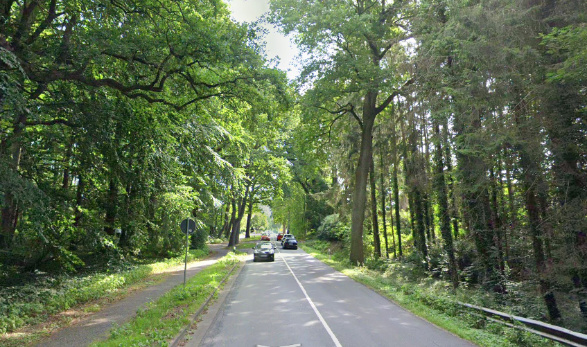 A Meadow in Issendorf