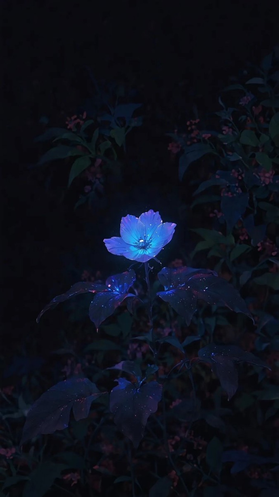 Lily Black and White