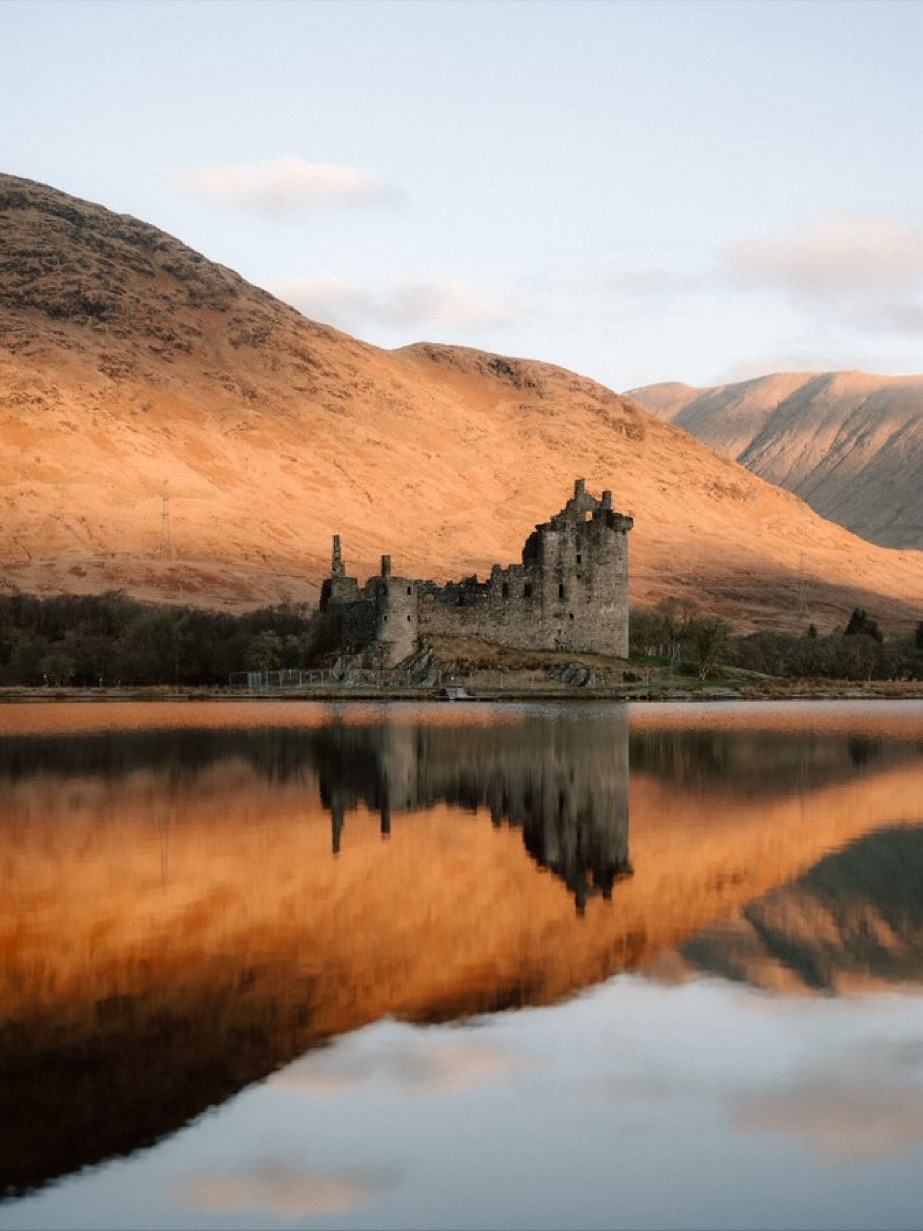 Lily Black and White