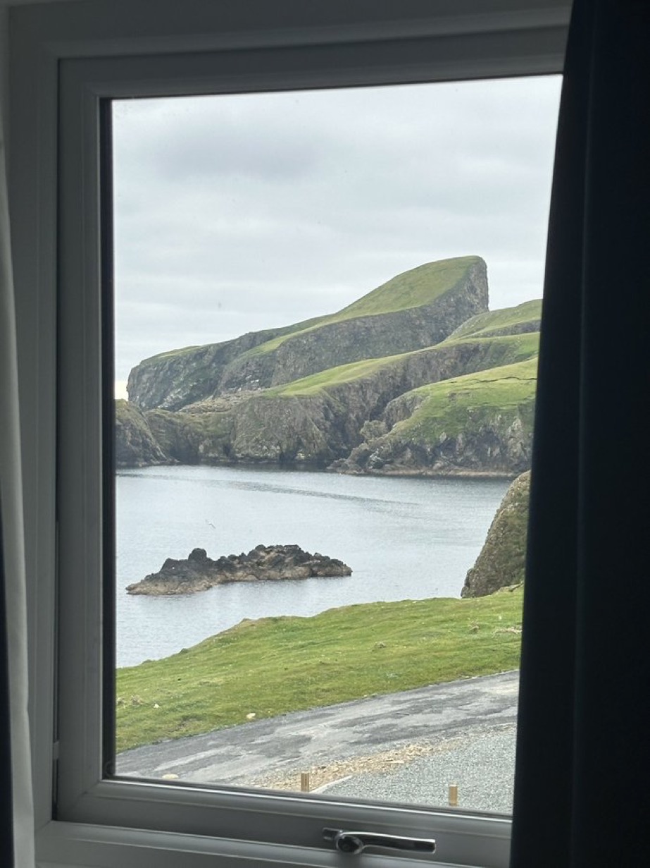 Lily Black and White